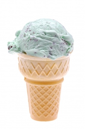 Biggest Loser Mint Chocolate Chip Frozen Yogurt - Diet Recipe